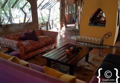 Jaci's Tree Lodge adult-oriented romantic lodge Madikwe Game Reserve South Africa