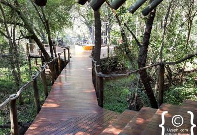 Jaci's Tree Lodge adult-oriented romantic lodge Madikwe Game Reserve South Africa