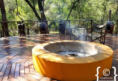 Birdlife around Jaci's Tree Lodge Madikwe Game Reserve North West South Africa
