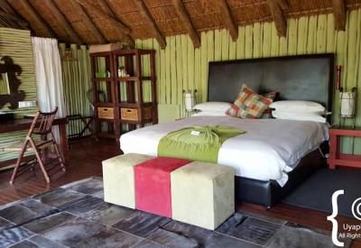 Jaci's Tree Lodge elevated thatched suite wooden deck Madikwe Game Reserve South Africa