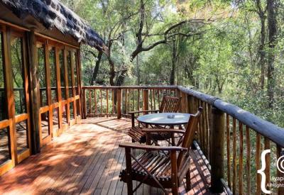 Jaci's Tree Lodge suite interior treeline river views Madikwe Game Reserve South Africa