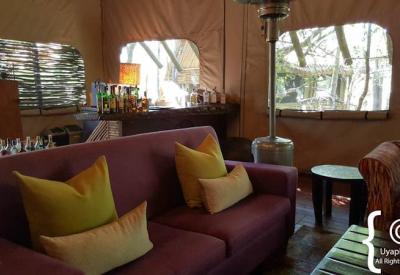 Jaci's Tree Lodge private verandah forest canopy views Madikwe Game Reserve South Africa