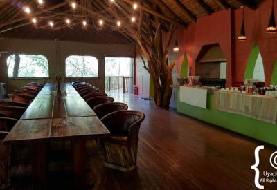 Jaci's Tree Lodge private verandah forest canopy views Madikwe Game Reserve South Africa