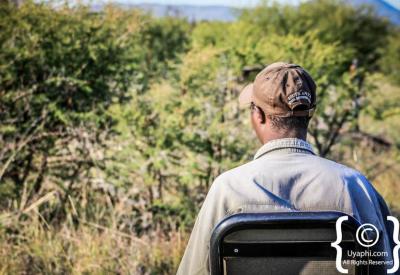 Safari game drive vehicle with tracker and guide Madikwe Game Reserve South Africa