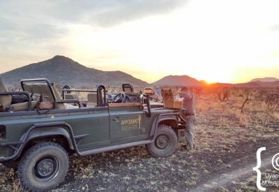 Safari sundowner stop drinks Madikwe Game Reserve North West Province South Africa