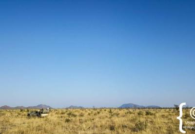 Wildlife sighting from open game drive vehicle Madikwe Game Reserve South Africa