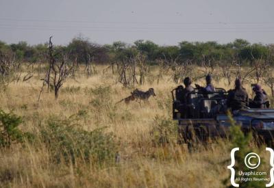 African savannah bushveld landscape Madikwe Game Reserve game drive South Africa