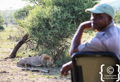 Safari game drive vehicle with tracker and guide Madikwe Game Reserve South Africa