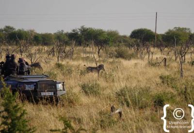 African savannah bushveld landscape Madikwe Game Reserve game drive South Africa
