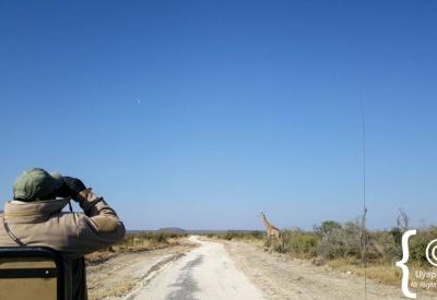 African savannah bushveld landscape Madikwe Game Reserve game drive South Africa