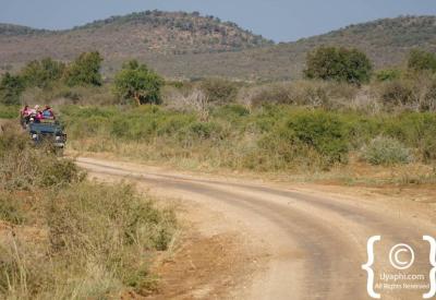 African sunset golden hour Madikwe Game Reserve safari game drive South Africa