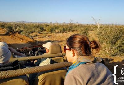 African sunset golden hour Madikwe Game Reserve safari game drive South Africa