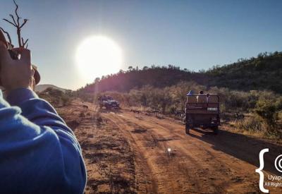 Family malaria-free safari game drive Madikwe Game Reserve South Africa