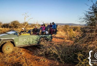 Authentic Big Five safari experience Madikwe Game Reserve South Africa