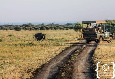 Safari guests on open vehicle Big Five sighting Madikwe Game Reserve South Africa