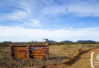 Dry season arid landscape Madikwe Game Reserve Kalahari Sands North West South Africa