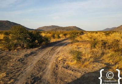Green season after rain Madikwe Game Reserve North West Province South Africa