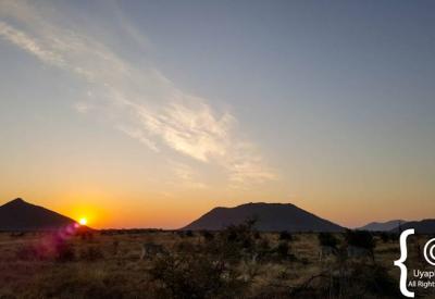 Bush road game drive tracks Madikwe Game Reserve North West Province South Africa