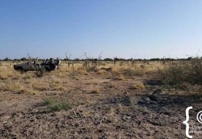 Termite mounds open savannah plains Madikwe Game Reserve North West South Africa