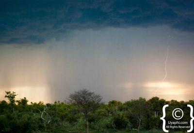 Spectacular African sunset Madikwe Game Reserve North West Province South Africa