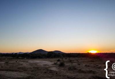 African sunrise Madikwe Game Reserve Kalahari Sands North West Province South Africa