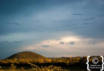 Kalahari Sands Basin meets bushveld Madikwe Game Reserve North West South Africa
