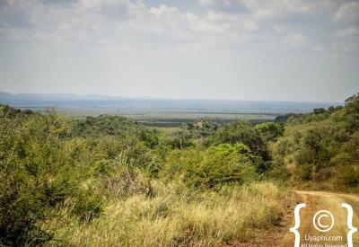 Panoramic savannah views Madikwe Game Reserve malaria-free North West South Africa