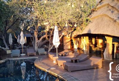 Motswiri Safari Lodge dining area fine cuisine Madikwe Game Reserve South Africa