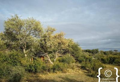Motswiri Safari Lodge swimming pool outdoor area Madikwe Game Reserve South Africa