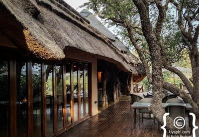 Wildlife at waterhole Motswiri Safari Lodge Madikwe Game Reserve malaria-free South Africa