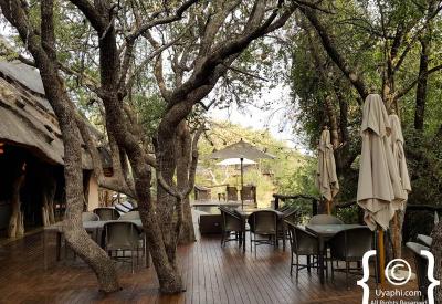 Wildlife at waterhole Motswiri Safari Lodge Madikwe Game Reserve malaria-free South Africa