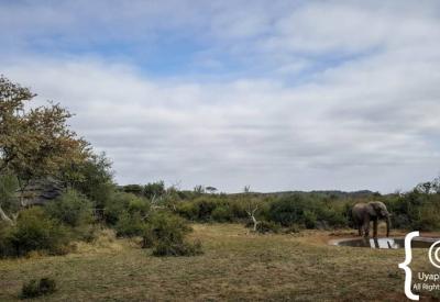 Family game drive Motswiri Safari Lodge malaria-free Madikwe Game Reserve South Africa