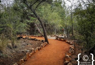 Madikwe Game Reserve bushveld scenery Motswiri Safari Lodge North West South Africa