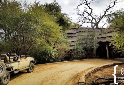 Madikwe Game Reserve bushveld scenery Motswiri Safari Lodge North West South Africa