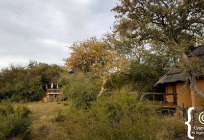 Motswiri Safari Lodge private suite outdoor area Madikwe Game Reserve South Africa