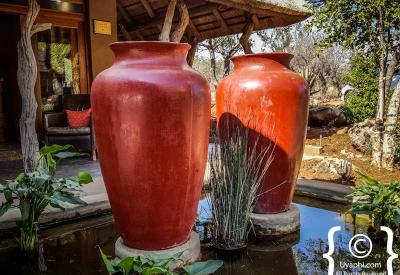 Rhulani Safari Lodge spacious spread-out layout Madikwe Game Reserve South Africa
