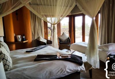 Rhulani Safari Lodge private plunge pool suite Madikwe Game Reserve South Africa