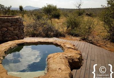 Rhulani Safari Lodge private plunge pool suite Madikwe Game Reserve South Africa