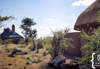 Rhulani Safari Lodge swimming pool outdoor area Madikwe Game Reserve South Africa