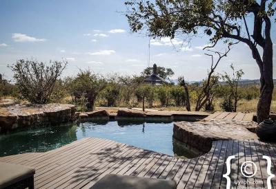 Family children safari activities Rhulani Safari Lodge Madikwe Game Reserve South Africa