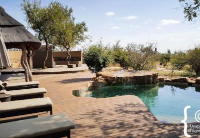 Family children safari activities Rhulani Safari Lodge Madikwe Game Reserve South Africa
