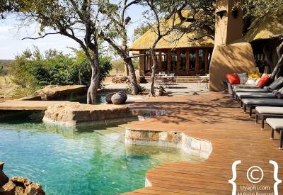 Big Five wildlife sighting Rhulani Safari Lodge Madikwe Game Reserve South Africa