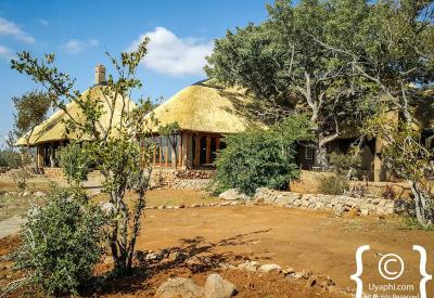 Wilderness bushveld views from suite Rhulani Safari Lodge Madikwe Game Reserve South Africa
