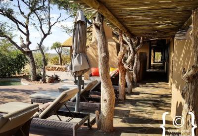 Madikwe Game Reserve scenery Rhulani Safari Lodge North West Province South Africa