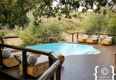 Tuningi Safari Lodge luxury thatched chalet Madikwe Game Reserve malaria-free South Africa