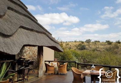 Tuningi Safari Lodge luxury thatched chalet Madikwe Game Reserve malaria-free South Africa