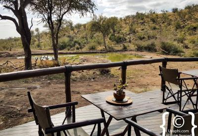 Tuningi Safari Lodge luxury chalet interior lounge chairs Madikwe Game Reserve South Africa