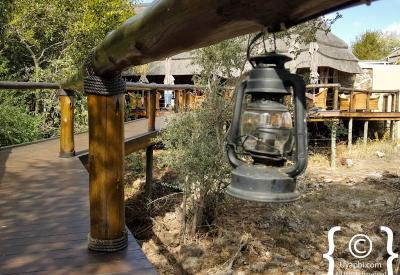 Tuningi Safari Lodge family suite two en-suite bedrooms Madikwe Game Reserve South Africa