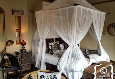 Tuningi Safari Lodge family suite central lounge Madikwe Game Reserve malaria-free South Africa