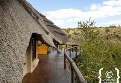 Tuningi Safari Lodge fine dining breakfast dinner Madikwe Game Reserve South Africa